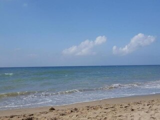 Appartement Elviria Environnement 34
