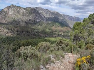 Appartamento La Mairena Ambiente 4
