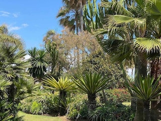 Apartamento San Pedro de Alcantara Entorno 19