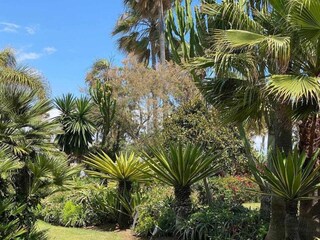 Appartamento San Pedro de Alcantara Ambiente 19