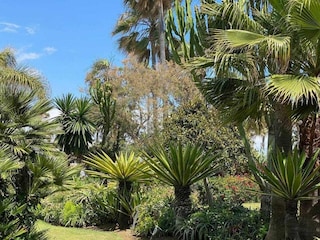 Apartment San Pedro de Alcantara Umgebung 49