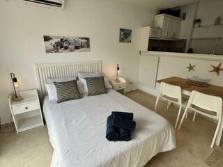 Apartment San Pedro de Alcantara Features 13