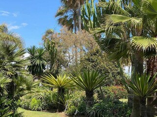 Apartment San Pedro de Alcantara Outdoor Recording 7