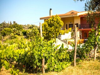 Casa de vacaciones Koskinou Grabación al aire libre 6