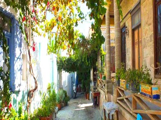 Holiday house Koskinou Environment 29