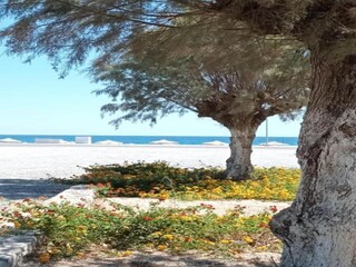 Casa per le vacanze Koskinou Ambiente 33