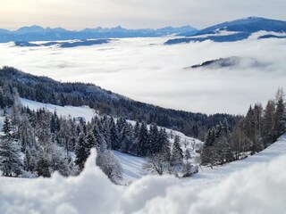 Appartamento per vacanze St. Urban Caratteristiche 40