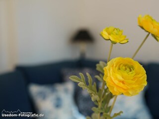 Ferienwohnung Ahlbeck (Usedom) Ausstattung 4
