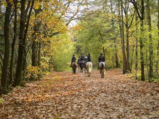 Landhaus Marienwerder Umgebung 32