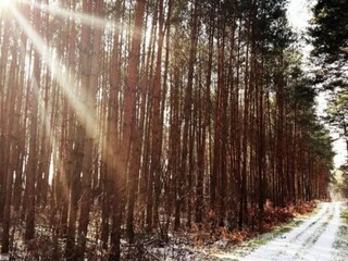 Landhaus Marienwerder Umgebung 33