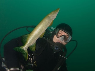 Landhaus Marienwerder Umgebung 38