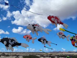 Kite festival in Corralejo/Las Grandes Playas