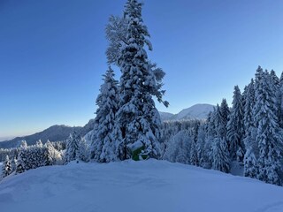 Winterlandschaft Steibis