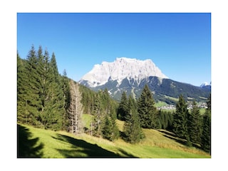 Zugspitze von Lermoos im Sommer