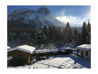 Der Garten im Winter