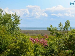 Apartamento de vacaciones Juist Grabación al aire libre 9