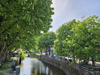 Vakantieappartement Greetsiel Omgeving 8