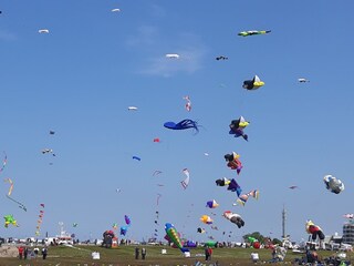 Drachenfest