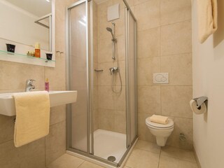 Appartamento Bad Gastein Caratteristiche 25