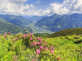 Apartment Bad Hofgastein Environment 31