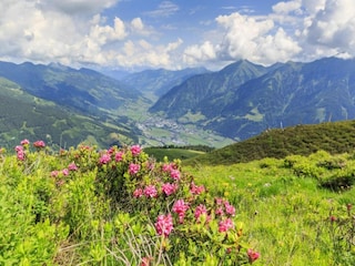Appartement Bad Hofgastein Omgeving 24