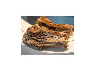 Appartamento St. Peter-Ording  24