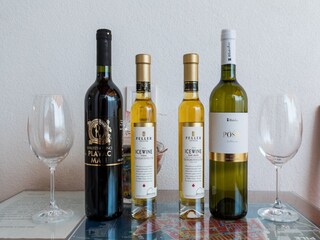 Appartamento Dubrovnik  9