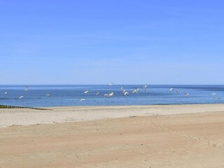 Parc de vacances Rowy  14