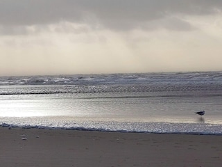 Holiday house Vejers Strand  9