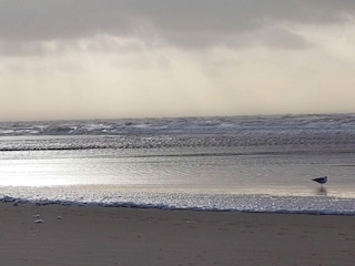 Holiday house Vejers Strand  14