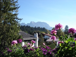 Südausblick zum Karwendelgebirge