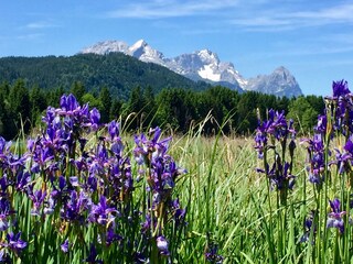 Wettersteinmassiv mit Zugspitze