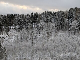 Winter Panorama