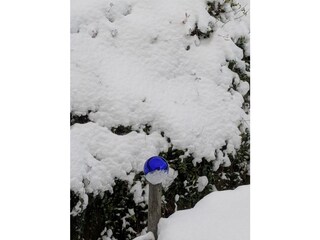 Winter Garten