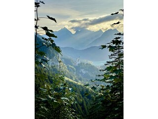 Wanderung zur Rohrkopfhütte mit Neuschwanstein-Blick