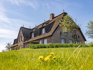 Ferienwohnung Nordstrand Außenaufnahme 2