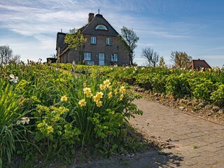 Ferienwohnung Nordstrand Umgebung 31