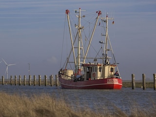Ferienwohnung Nordstrand Umgebung 33