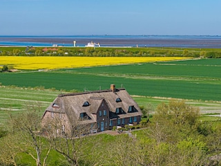 Ferienwohnung Nordstrand Außenaufnahme 2