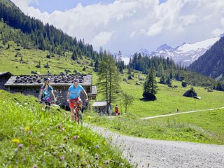 Apartment Hollersbach im Pinzgau Umgebung 18