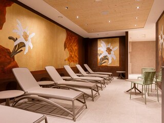 Appartamento Hollersbach im Pinzgau  27