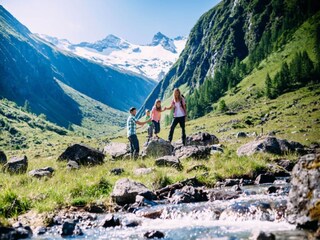 Appartement Hollersbach im Pinzgau Environnement 17