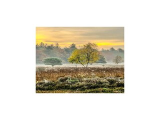 Casa de vacaciones Schoonoord Entorno 22