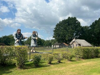 Ferienhaus Schoonoord Umgebung 16