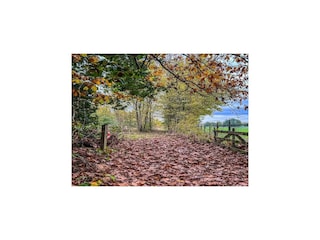 Casa de vacaciones Schoonoord Entorno 25