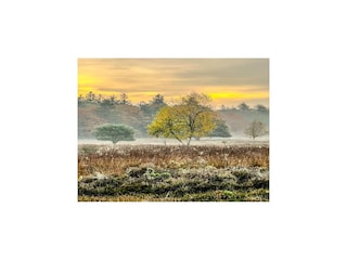 Ferienhaus Schoonoord Umgebung 33