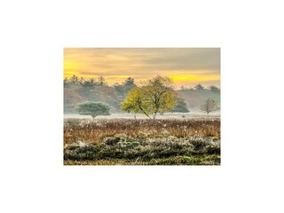 Vakantiehuis Schoonoord Omgeving 33