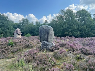 Ferienhaus Schoonoord Umgebung 20
