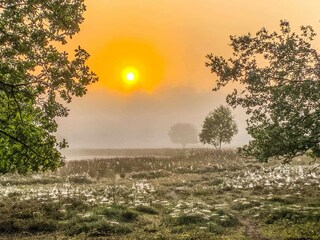 Casa per le vacanze Schoonoord Ambiente 22
