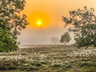 Ferienhaus Schoonoord Umgebung 31